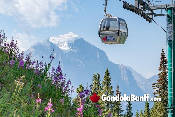 Lake Louise Summer Sightseeing Gondola